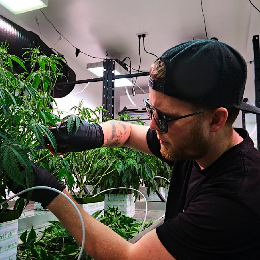 Josiah in the grow room