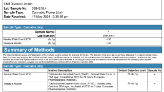 A screenshot of a lab report showing a non-existent bio burden result