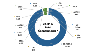 A high potency graph showing a cannabinoid breakdown from a CoA