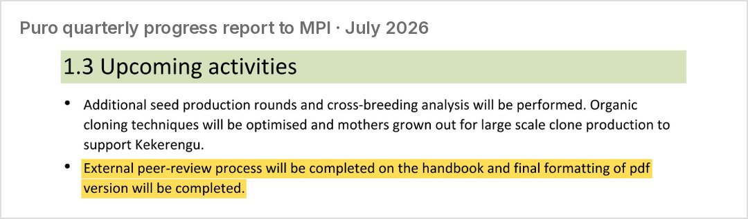 July 2026, the next quarter's plan: a newly added external peer review, then "final formatting of pdf version"